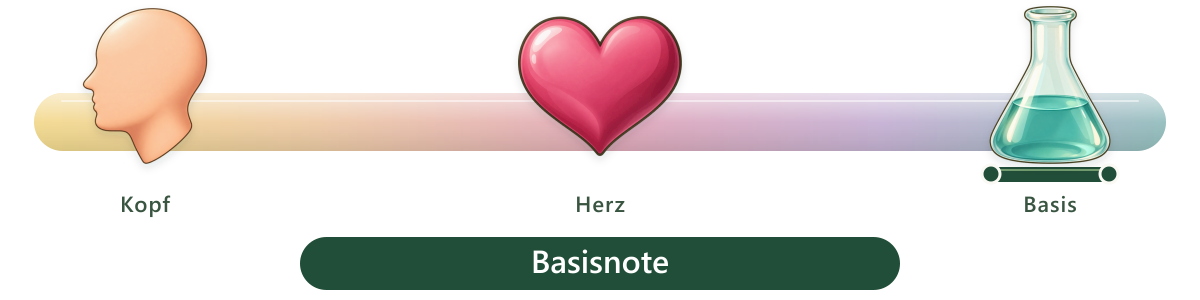 Duftbereich Basisnote