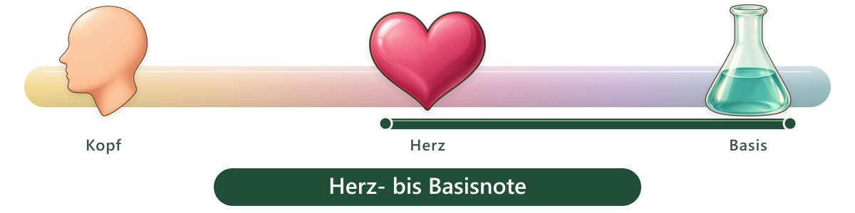 Duftbereich Herz-/Basisnote