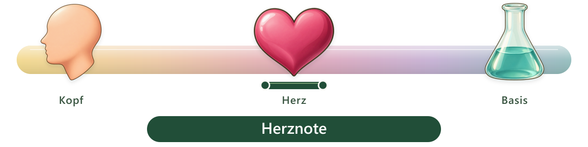 Duftbereich Herznote
