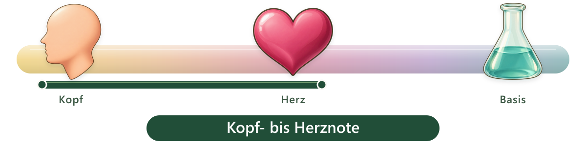 Duftbereich Kopf-/Herznote