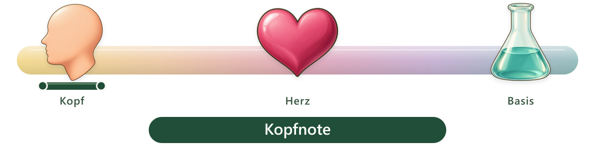 Duftbereich Kopfnote