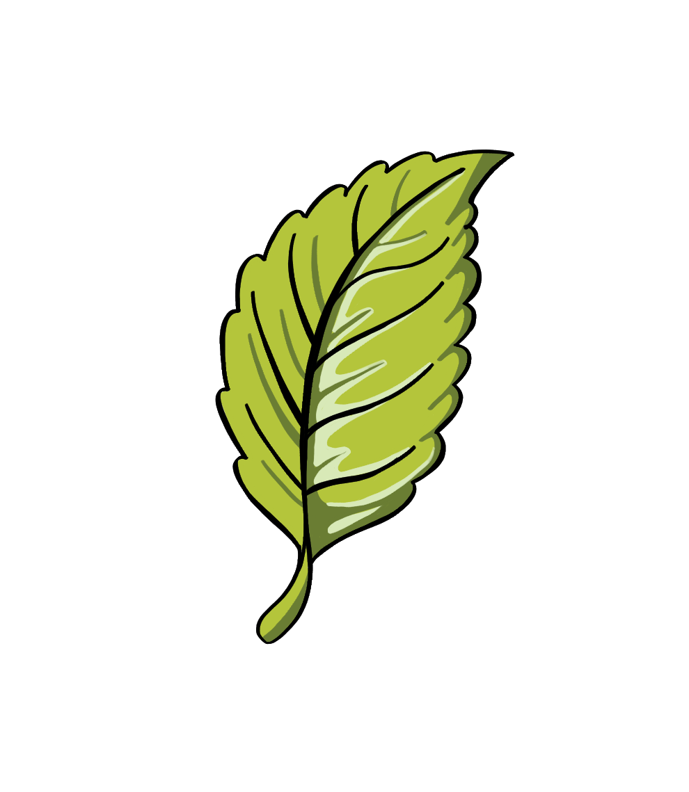 Blattöl