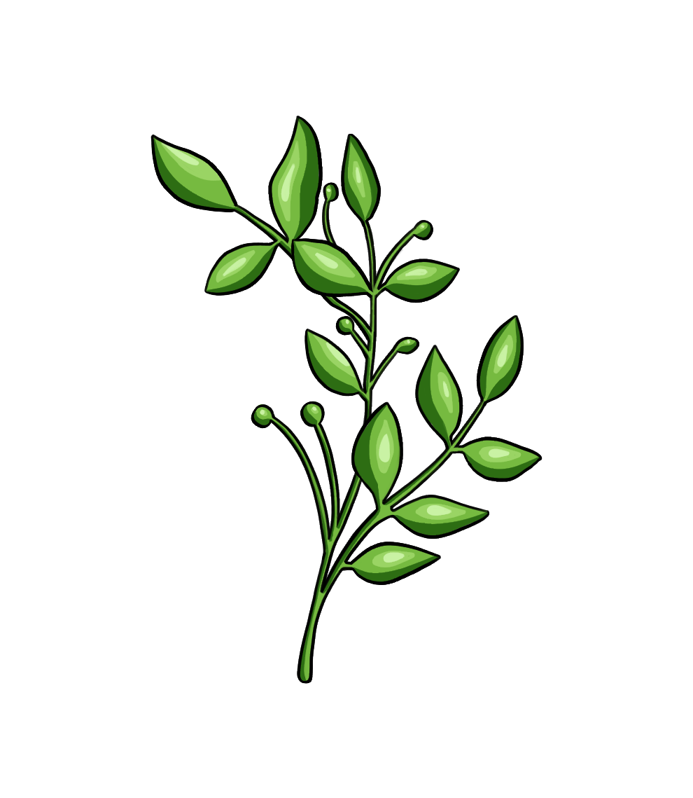 Knospenöl