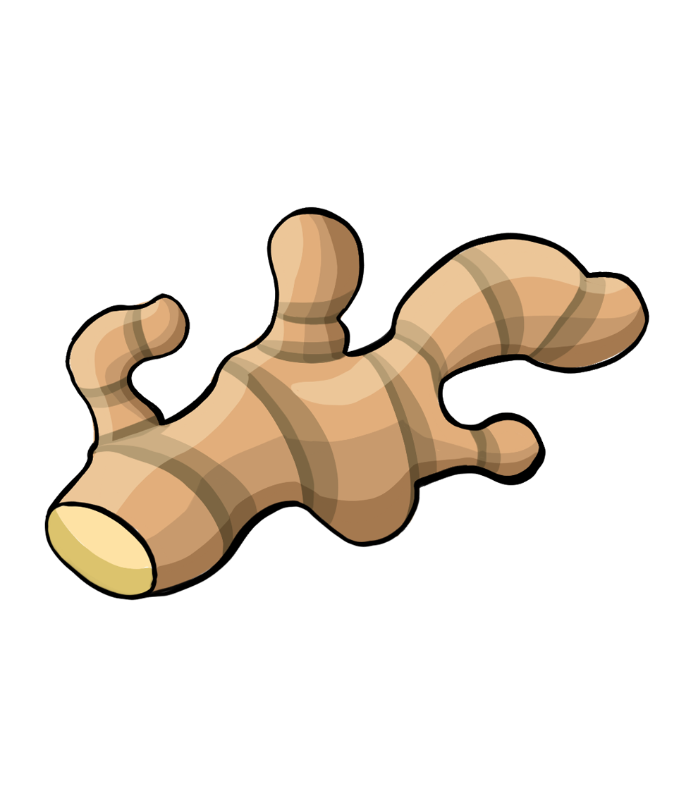 Rhizomöl