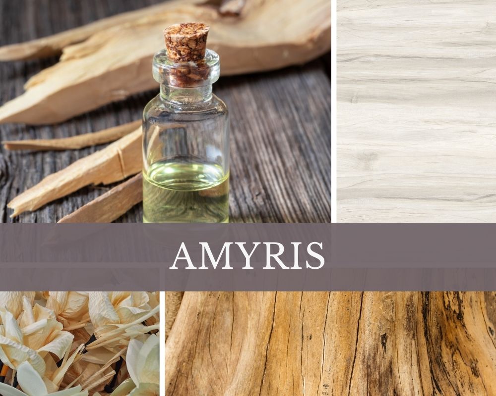 Amyrisöl