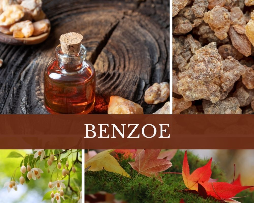 Benzoeöl