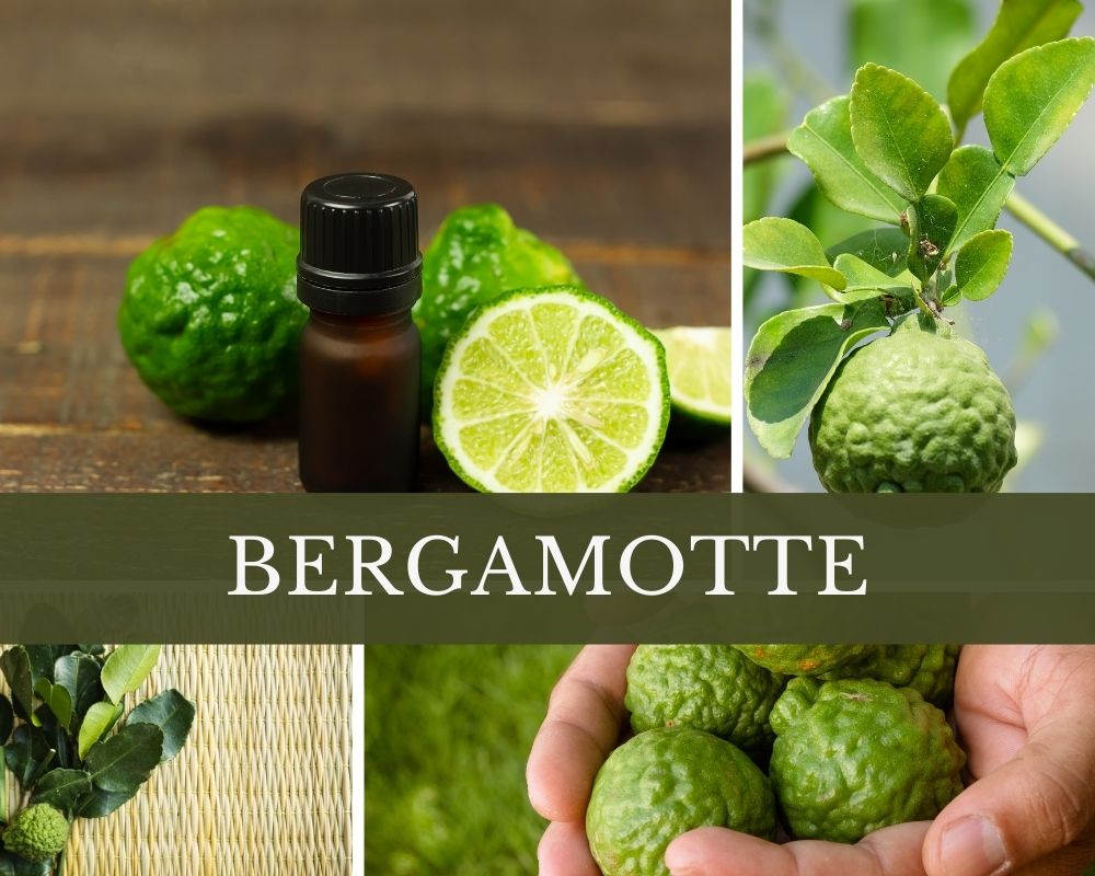 Bergamotteöl