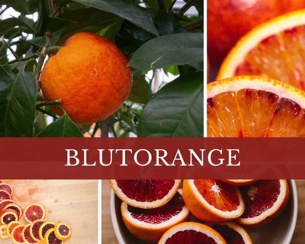 Blutorangenöl