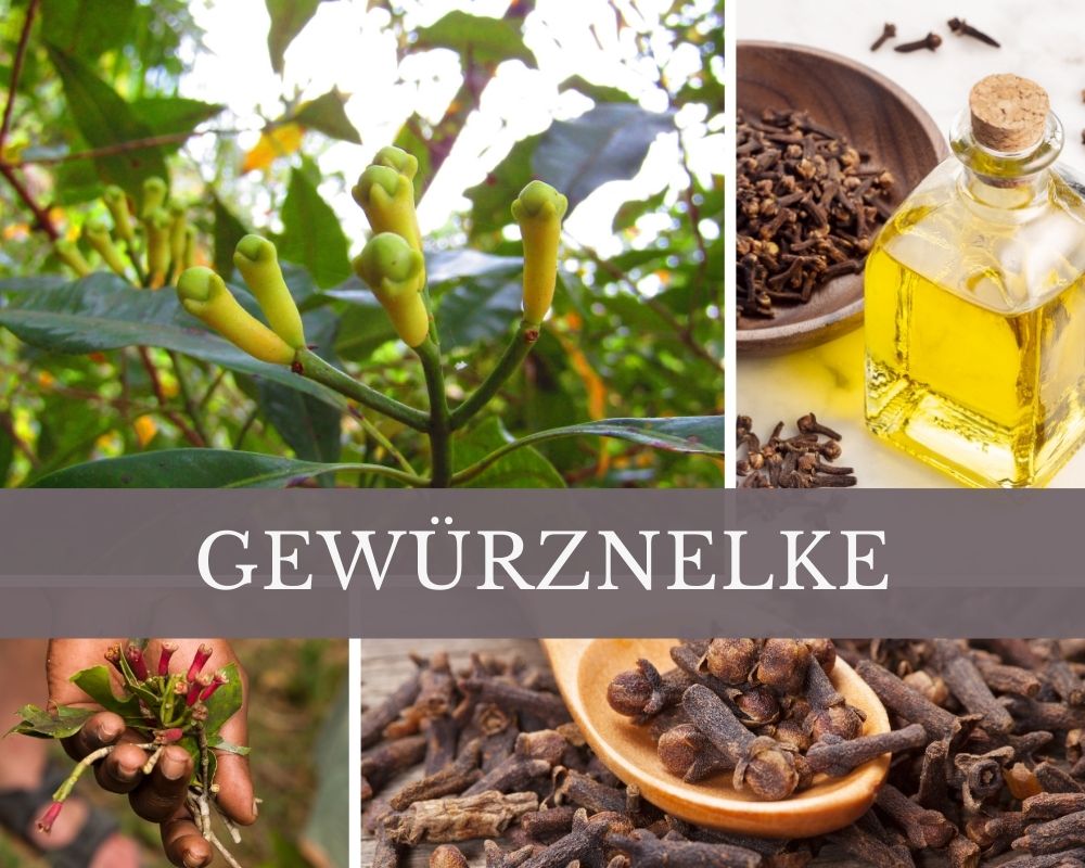 Gewürznelkenöl