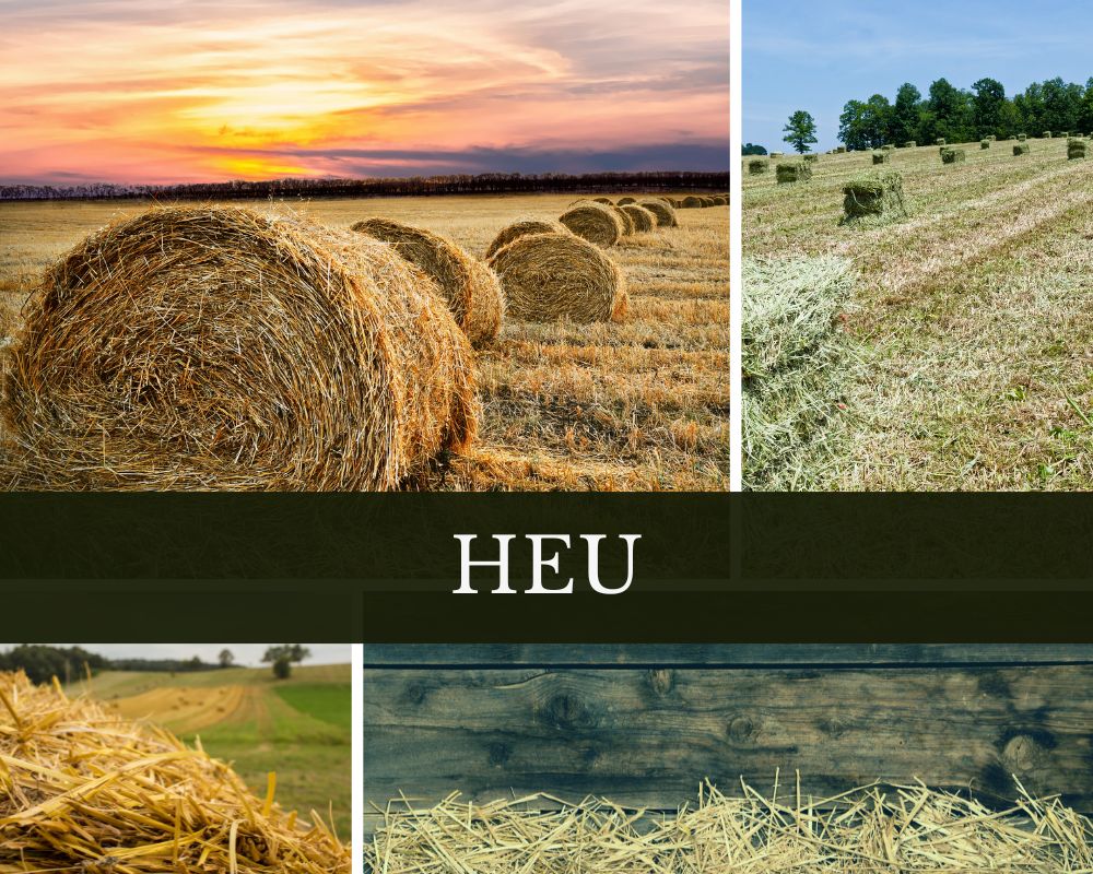 Heu-Absolue
