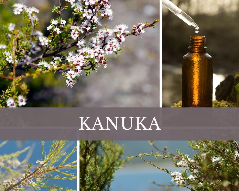 Kanukaöl