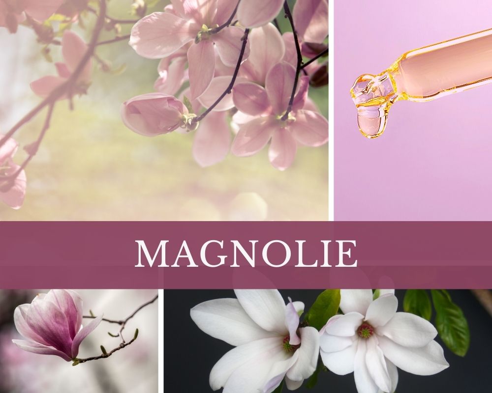 Magnolienblattöl