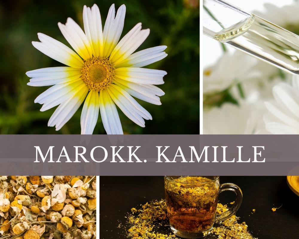 Kamillenöl (marokk.)