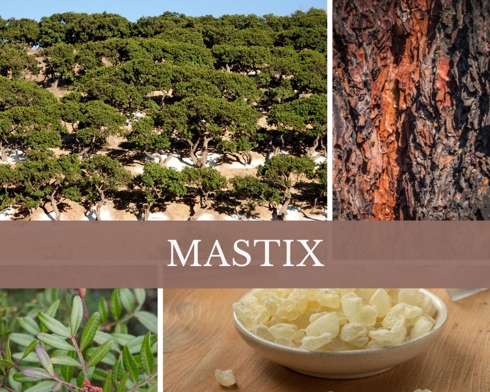 Mastix