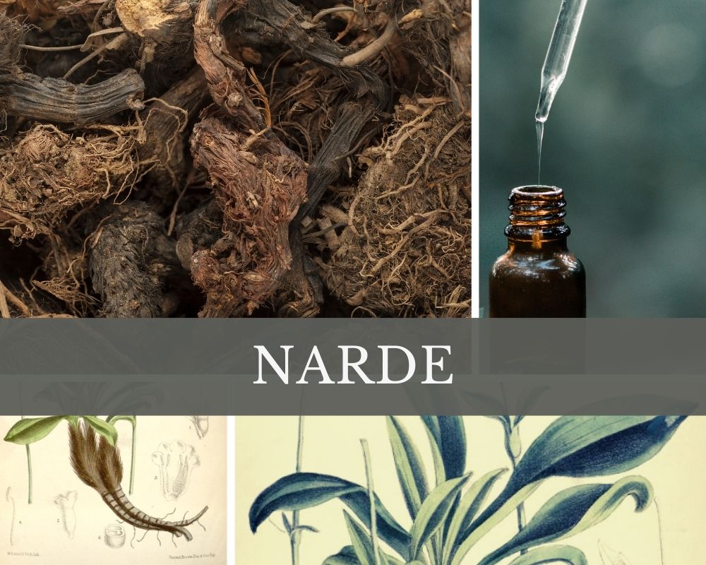 Nardenöl