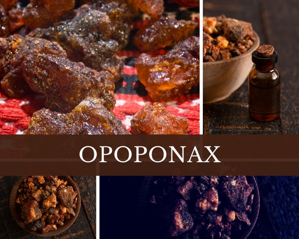 Opoponax