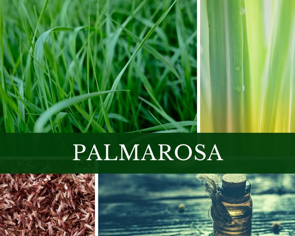 Palmarosaöl