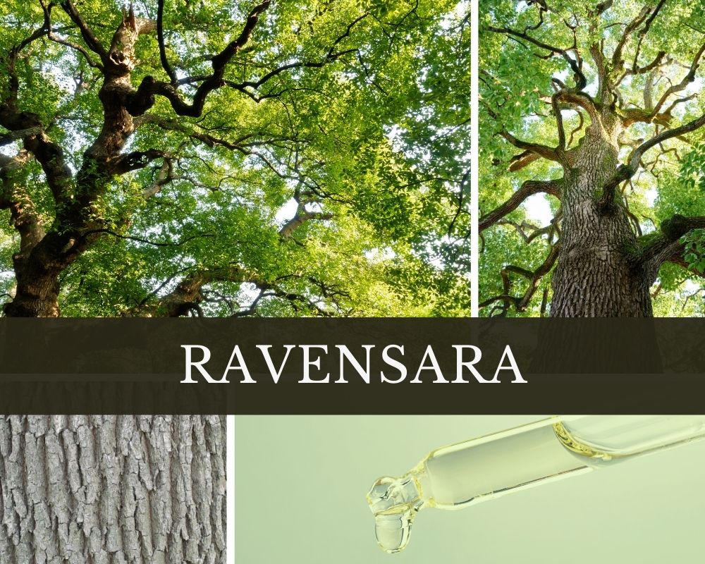 Ravensaraöl