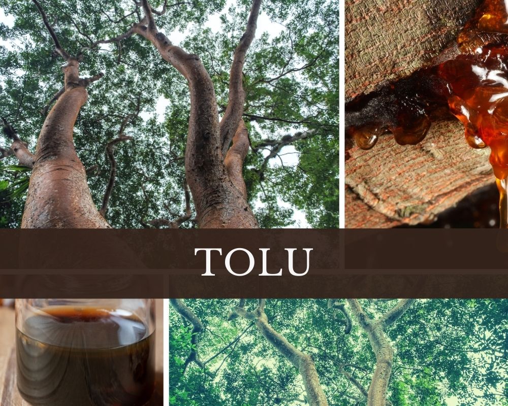Toluöl