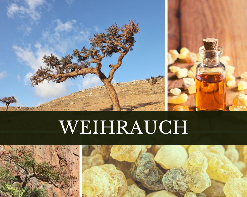 Weihrauchöl, arabisch (Eritrea)