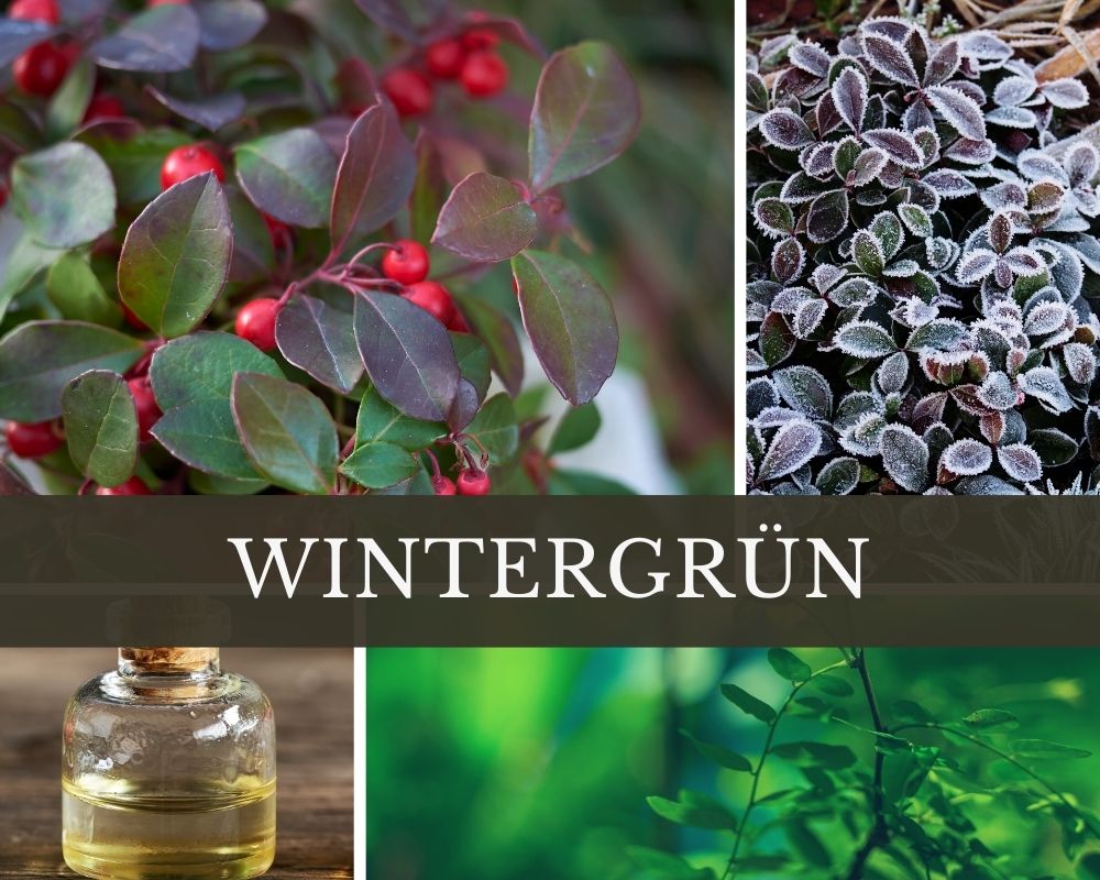 Wintergrünöl