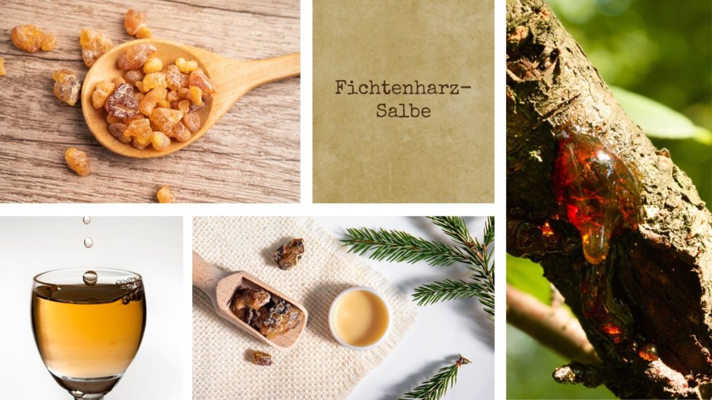 Collage zur Fichtenharzsalbe: Fichtenharzstücke im Holzlöffel, Harz am Baumstamm, Harz-Öl-Auszug, Harzsalbe im Tiegel und Fichtenzweig.